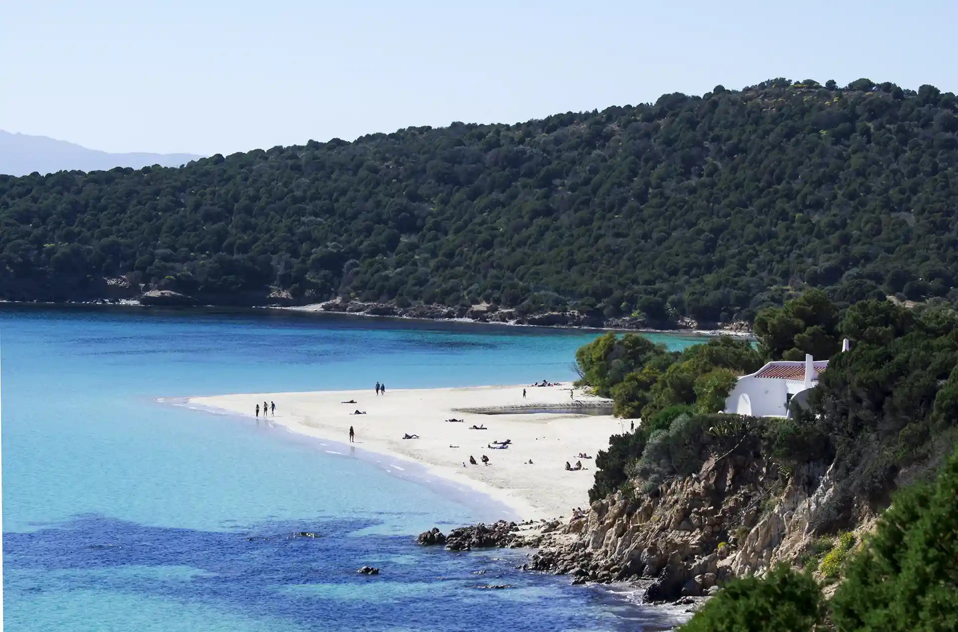 Teulada Bandiera Blu 2026, vista panoramica della spiaggia di Tuerredda, a pochi minuti dalle ville Suestellas e Asfodeli di DomusTeulada